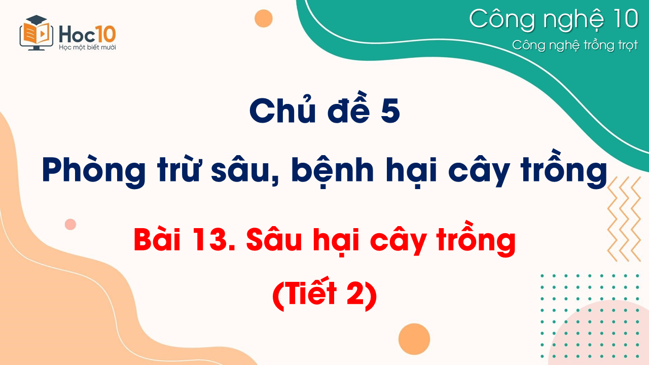 CN Trồng trọt - Bài 13 Sâu hại cây trồng (Tiết 2)